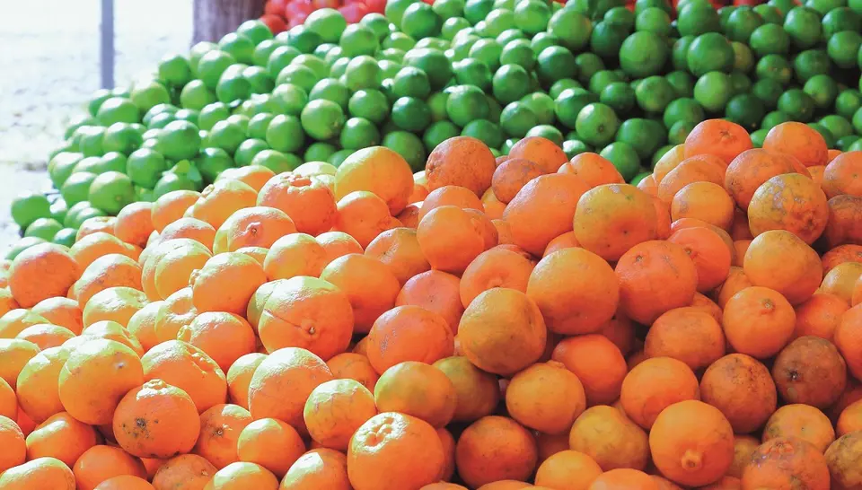 Aufnahme von einem großen Obst Berg unter anderen zu sehen sind Äpfel 