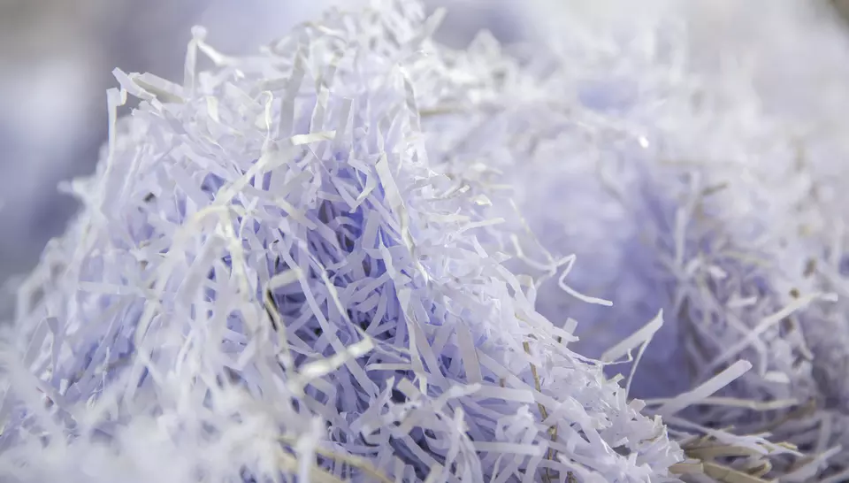 Papierbranche