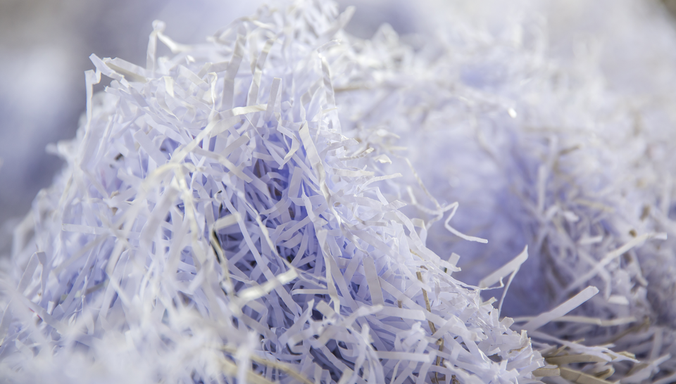 Papierbranche
