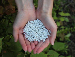 Zwei Hände die zu einer Schale geformt sind, in der kleine weiße Pellets liegen, der sogenannte Struvit-Dünger. Im Hintergrund des Bildes, erkennt man verschwommen, die Blätter von Pflanzen. 