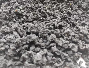 Nahaufnahme von getrocknetem Klärschlamm. Der Klärschlamm ist körnig und hat eine gräuliche Farbe.