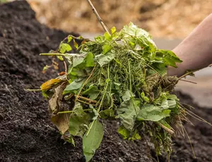 Jemand hat in seiner Hand eine Portion Kompost