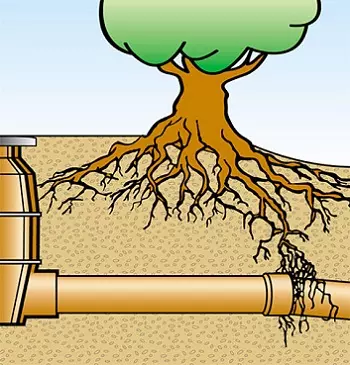 Bei Wurzelbefall von Rohren kann die Onyx Rohr- und Kanal-Service GmbH weiterhelfen.