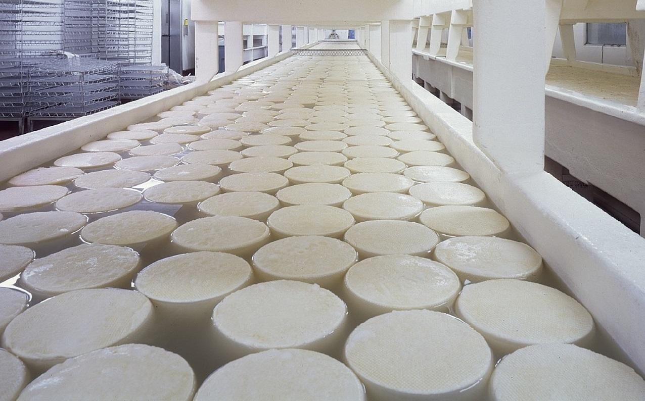 Biocycling_Lebensmittelindustrie_Käseproduktion (CC0)