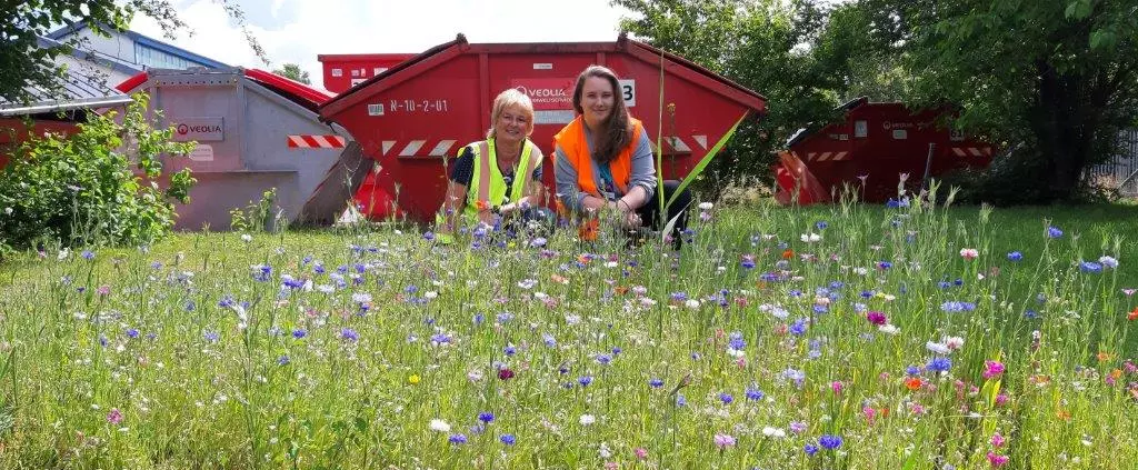 Zwei Frauen auf einer Bienenwiese vor einem Veolia Container
