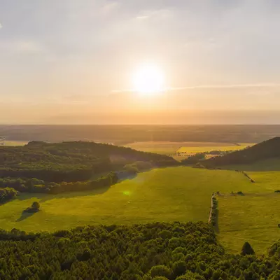 Eine grüne Landschaft
