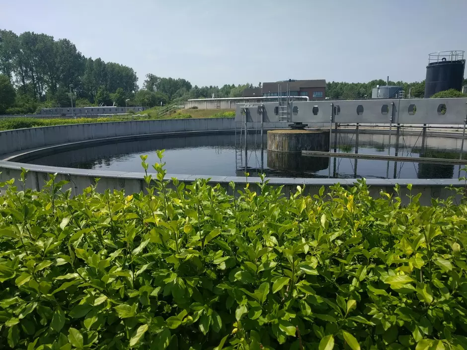 Ein Klärbecken in der Natur