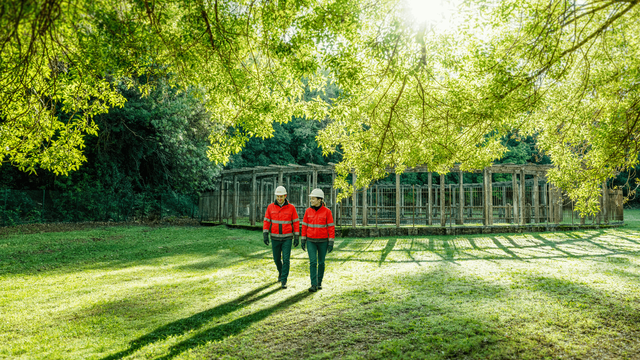 Veolia veröffentlicht Nachhaltigkeitsbericht 2024
